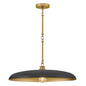 Commercial disc pendant light