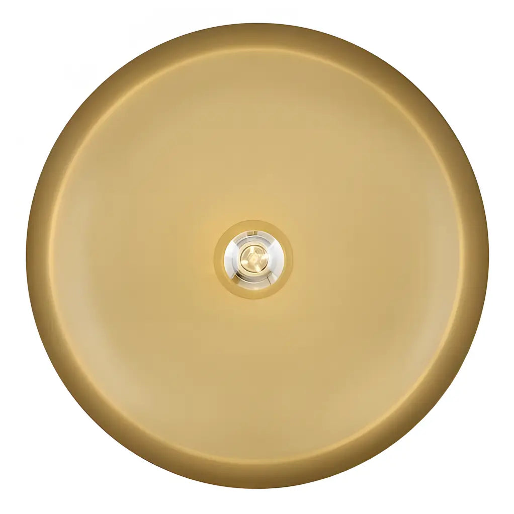 Metal disc hanging light