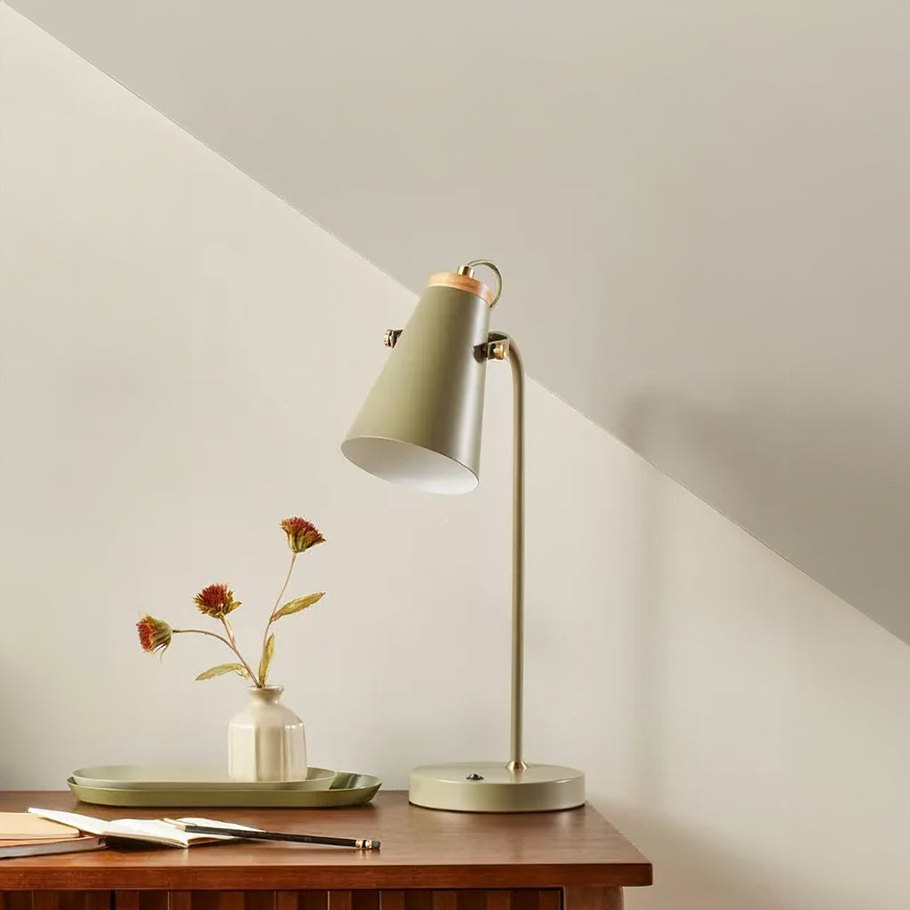 Industrial desk lamp for bedroom